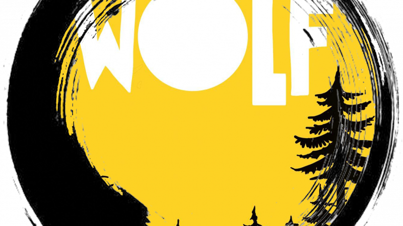 Wolf – Ferienlager im Wald